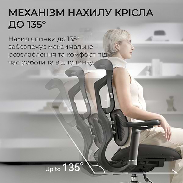 Фото - Кресло офисное Sihoo DORO S100 Mesh Black (S100-M301)