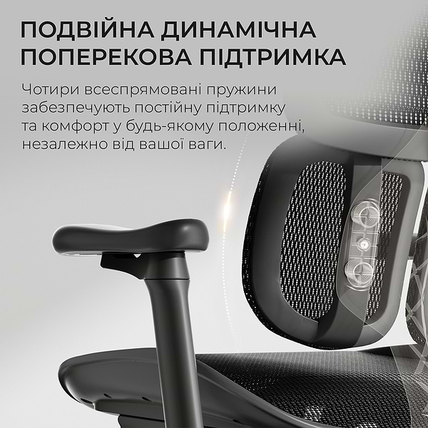 Фото - Кресло офисное Sihoo DORO S100 Mesh Black (S100-M301)