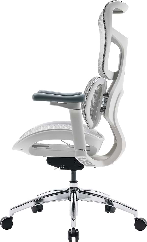 Фото - Кресло офисное Sihoo DORO S100 Mesh White (S100-M302)