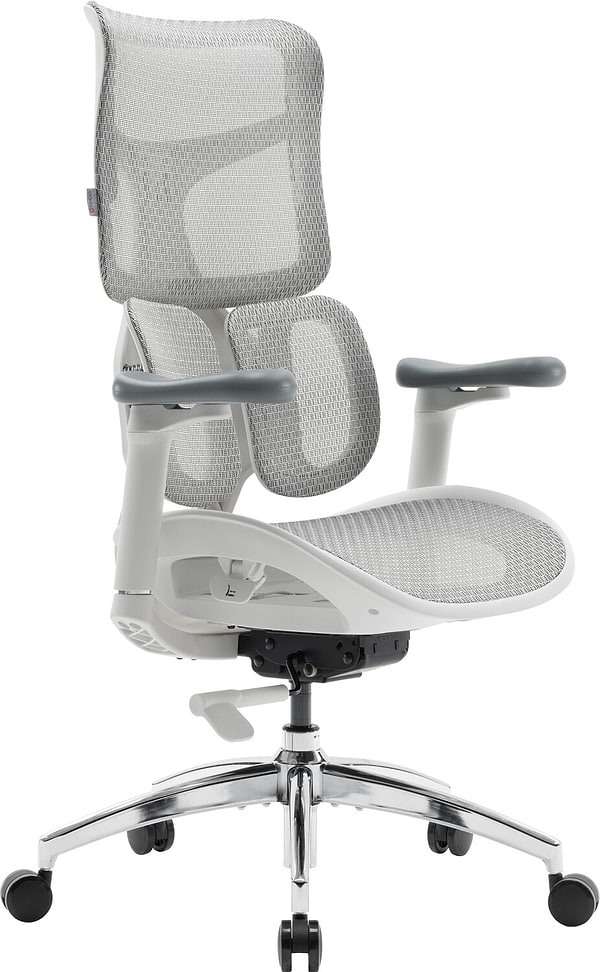 Фото - Кресло офисное Sihoo DORO S100 Mesh White (S100-M302)