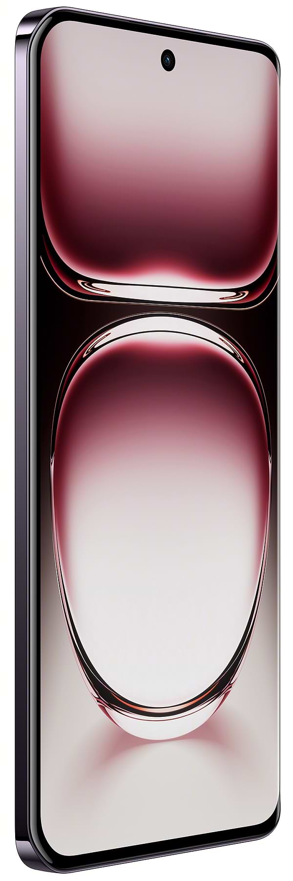 Фото - Смартфон OPPO Reno 12 12/256Gb Black Brown