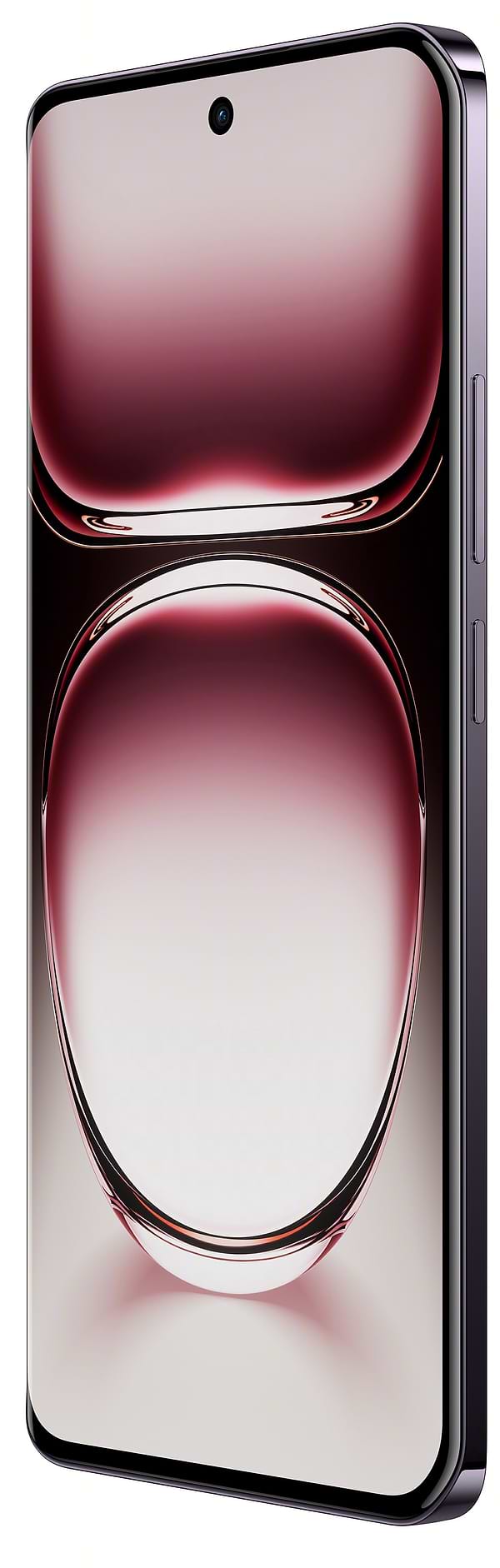 Фото - Смартфон OPPO Reno 12 12/256Gb Black Brown