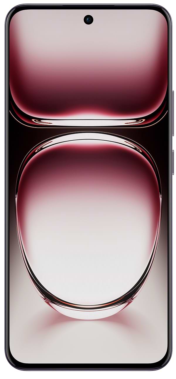 Фото - Смартфон OPPO Reno 12 12/256Gb Black Brown