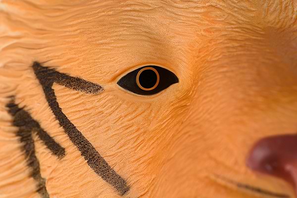 Фото - Ляльковий театр Same Toy Тигр (X305Ut)