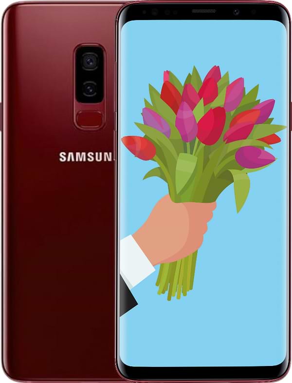 Фото - Смартфон Samsung Galaxy S9+ 64Gb Burgundy Red (SM-G965)