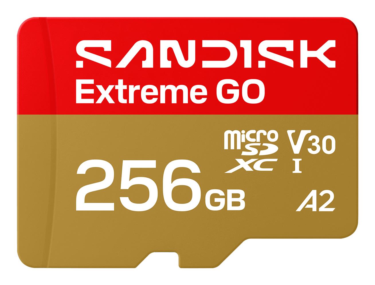 Карта памяти SanDisk Extreme GO SDXC 256GB UHS-I V30 A2 (SDSQXGN-256G-GN6MN)