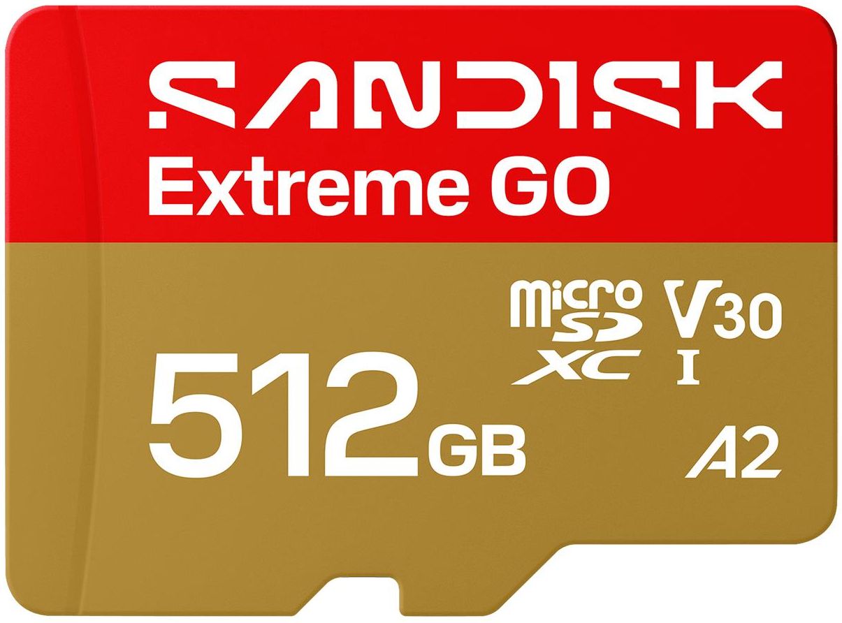 Карта пам'яті SanDisk Extreme GO SDXC 512GB UHS-I V30 A2 (SDSQXGN-512G-GN6MN)