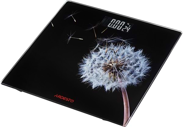 Фото - Ваги Ardesto SCB-965 Black