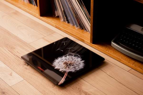 Фото - Ваги Ardesto SCB-965 Black