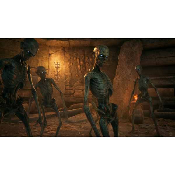 Фото - Ігровий диск PS4 Hogwarts Legacy Deluxe Edition [PS4, Blu-Ray диск]