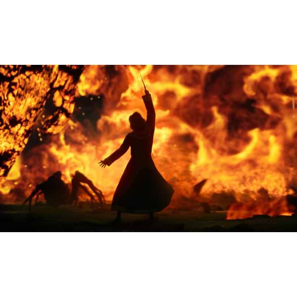 Фото - Ігровий диск PS4 Hogwarts Legacy Deluxe Edition [PS4, Blu-Ray диск]