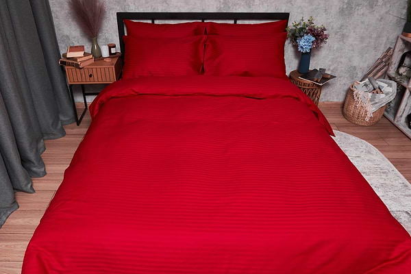 Фото - Комплект постільної білизни Moon&Star Satin Stripe Stripe Red 160х220 нав. 2х40х60 (MS-820003590)