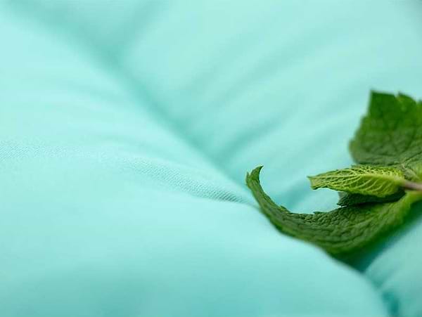 Фото - Набір ковдра двоспальна + подушка Руно 172х205+50х70 см 2 шт. Mint (172.52_Mint)