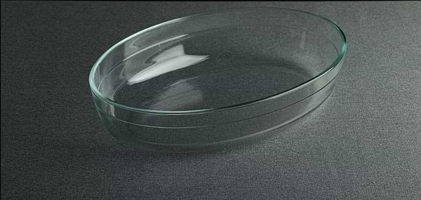 Фото - Форма для приготовления Vittora 2 л 30x21x6 см (VT-6220)