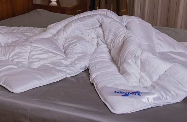 Фото - Одеяло демисезонное двуспальное евро Billerbeck шелковое Тифаны облегченное 200х220 (0471-21/03)