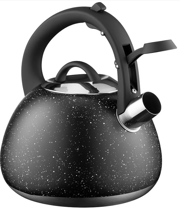 Фото - Чайник металлический Ardesto Gemini 2.5 л (AR1957KS)