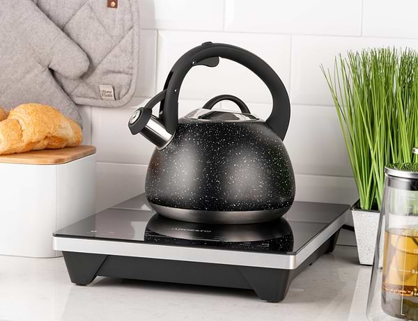 Фото - Чайник металлический Ardesto Gemini 2.5 л (AR1957KS)