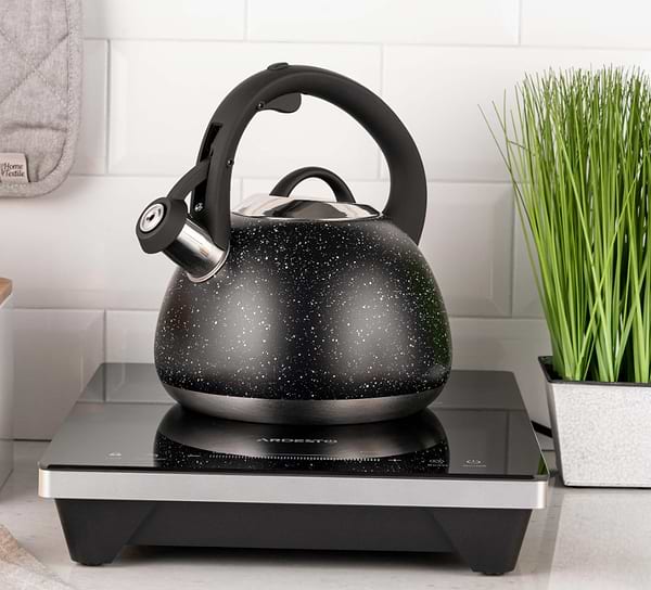 Фото - Чайник металлический Ardesto Gemini 2.5 л (AR1957KS)