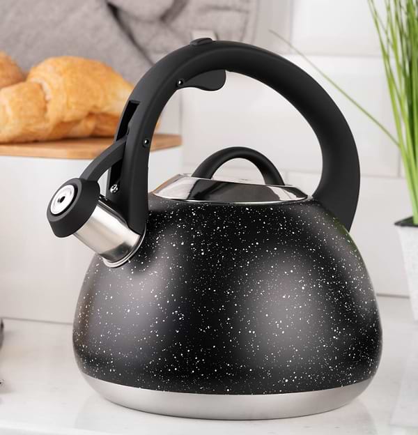 Фото - Чайник металлический Ardesto Gemini 2.5 л (AR1957KS)