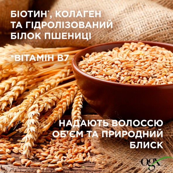Фото - Подарунковий набір для догляду за волоссям OGX Біотинова формула з колагеном для об’єму та зміцнення волосся (3574661864952)