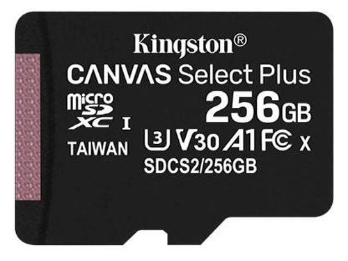 Фото - Карта памяти Kingston microSDXC 256GB C10 UHS-I Canvas Select Plus (SDCS2/256GBSP)