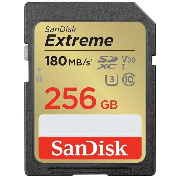 Карта памяти SanDisk SD 256GB C10 UHS-I U3 Extreme V30 (SDSDXVV-256G-GNCIN)