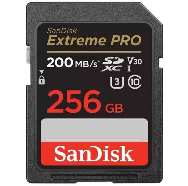 Карта пам'яті SanDisk SD 256GB C10 UHS-I U3 Extreme Pro V30 (SDSDXXD-256G-GN4IN)