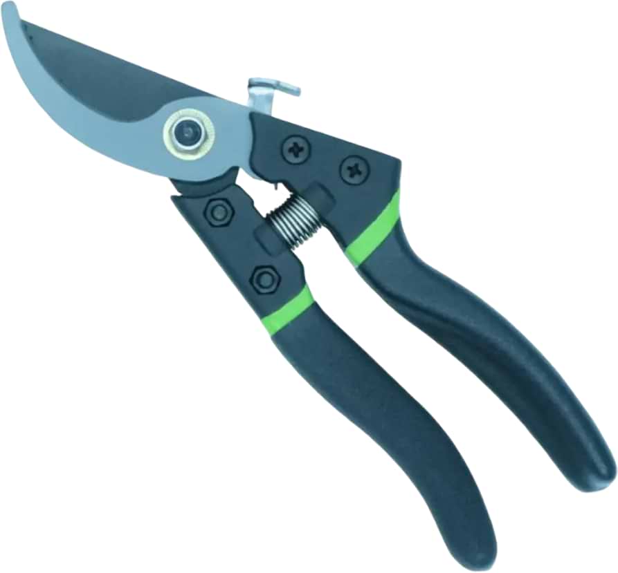 Ножиці садові Werk 210 мм (81085)