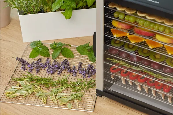 Фото - Сушарка для овочів і фруктів Sencor SFD 7000BK