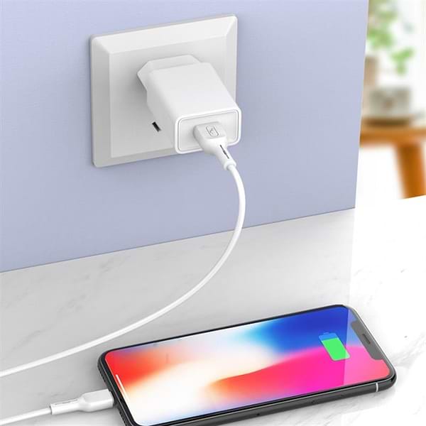 Фото - Мережевий зарядний пристрій SkyDolphin SC36V (1USB, 2.4A) White + кабель microUSB (MZP-000118)