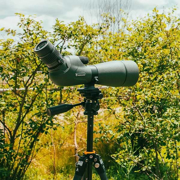 Фото - Штатив Vanguard VEO 5 234CO-26 (VEO 5 234CO-26)