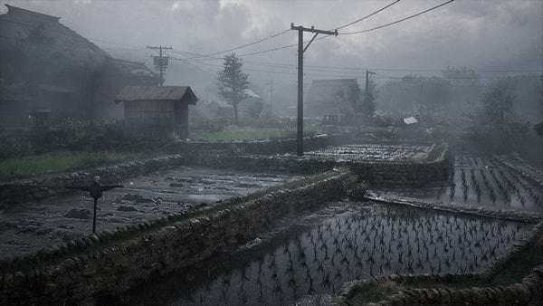 Фото - Ігровий диск PS5 Silent Hill f