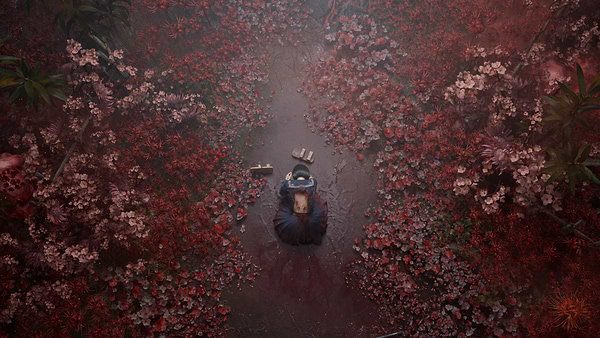 Фото - Ігровий диск PS5 Silent Hill f