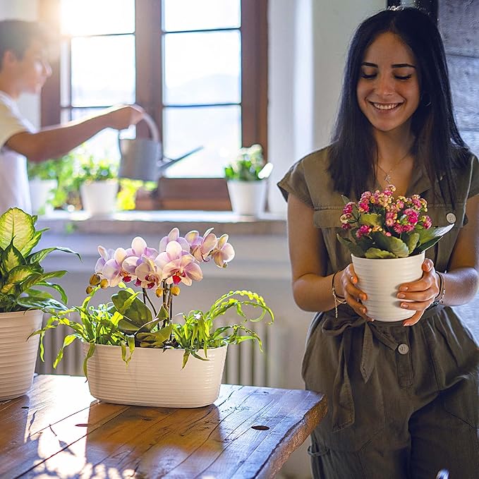 Фото - Вазон Guzzini 196200158