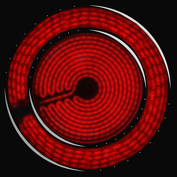 Фото - Варочная панель электрическая ELEYUS H3EBHG SL 30 BL V1