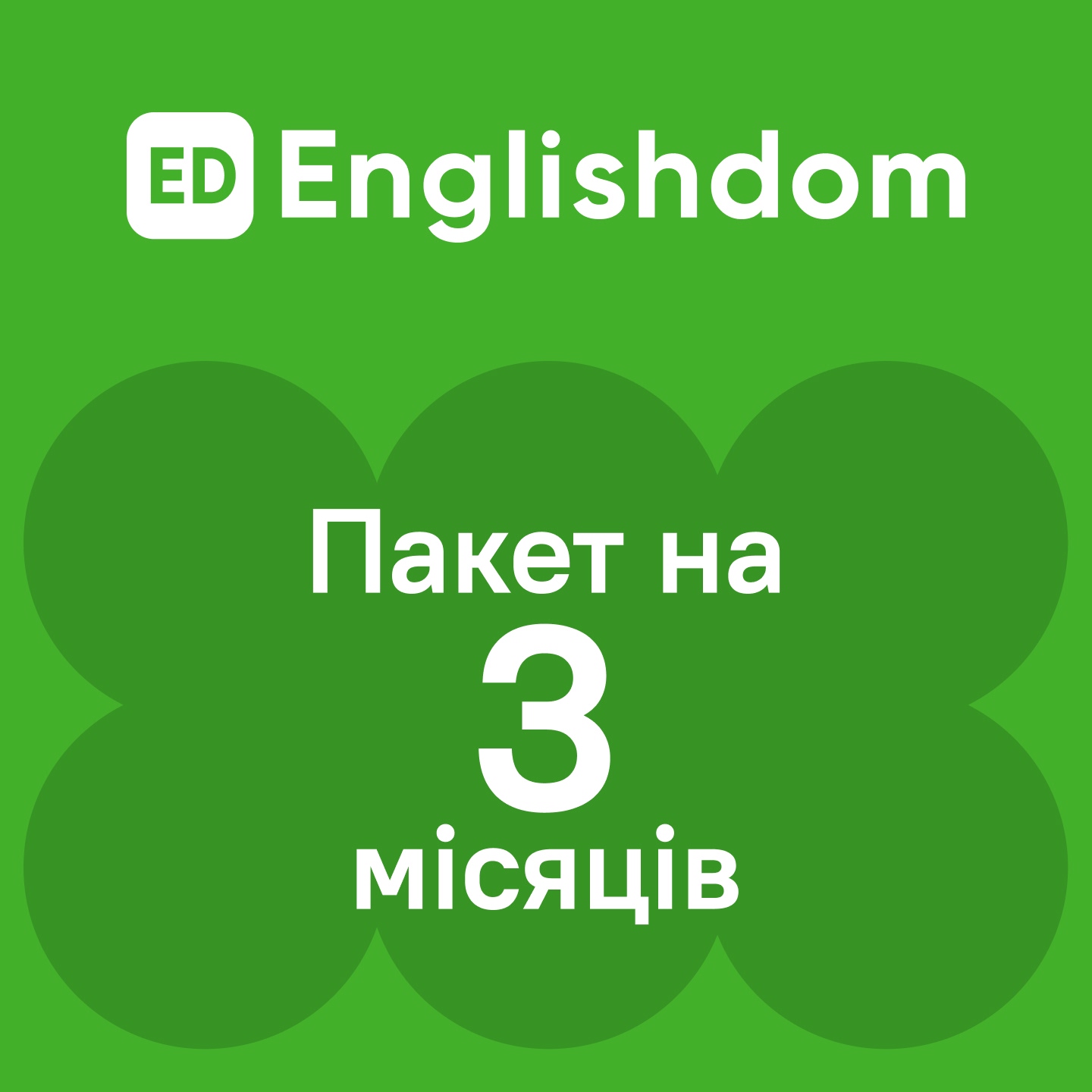 English Dom Words 3 місяці