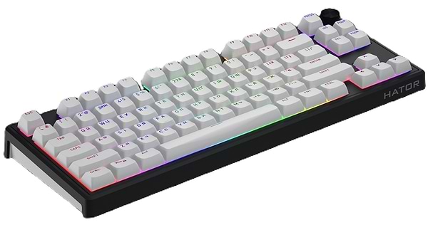 Фото - Клавиатура беспроводная игровая Hator Skyfall 80 wireless Black-White (HTK3180UA)