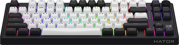 Фото - Клавиатура беспроводная игровая Hator Skyfall 80 MAG ULTIMA 8K (HTK3880UA) black-white
