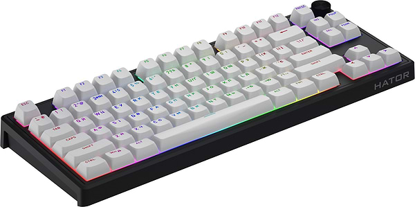Фото - Клавіатура дротова ігрова Hator Skyfall 80 MAG ULTRA 8K (HTK1880UA) black-white