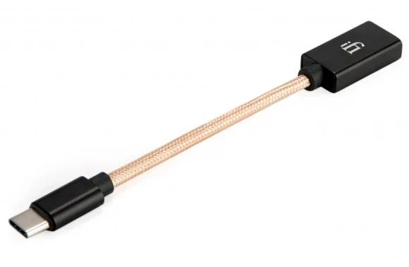 Фото - Перехідник iFi Type-C OTG (7036)