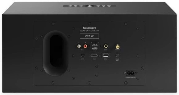 Фото - Портативная акустика Audio Pro C20 W Black