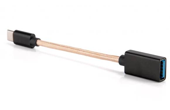 Фото - Перехідник iFi Type-C OTG (7036)