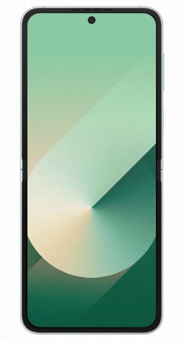 Фото - Смартфон Samsung Galaxy Flip6 12/256Gb Mint (SM-F741BLGGSEK)