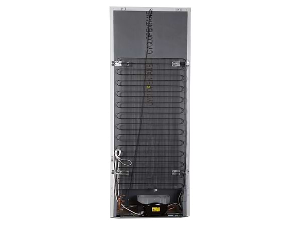 Фото - Холодильник Snaige RF36 SM - S10021/0831Z185-SNBX