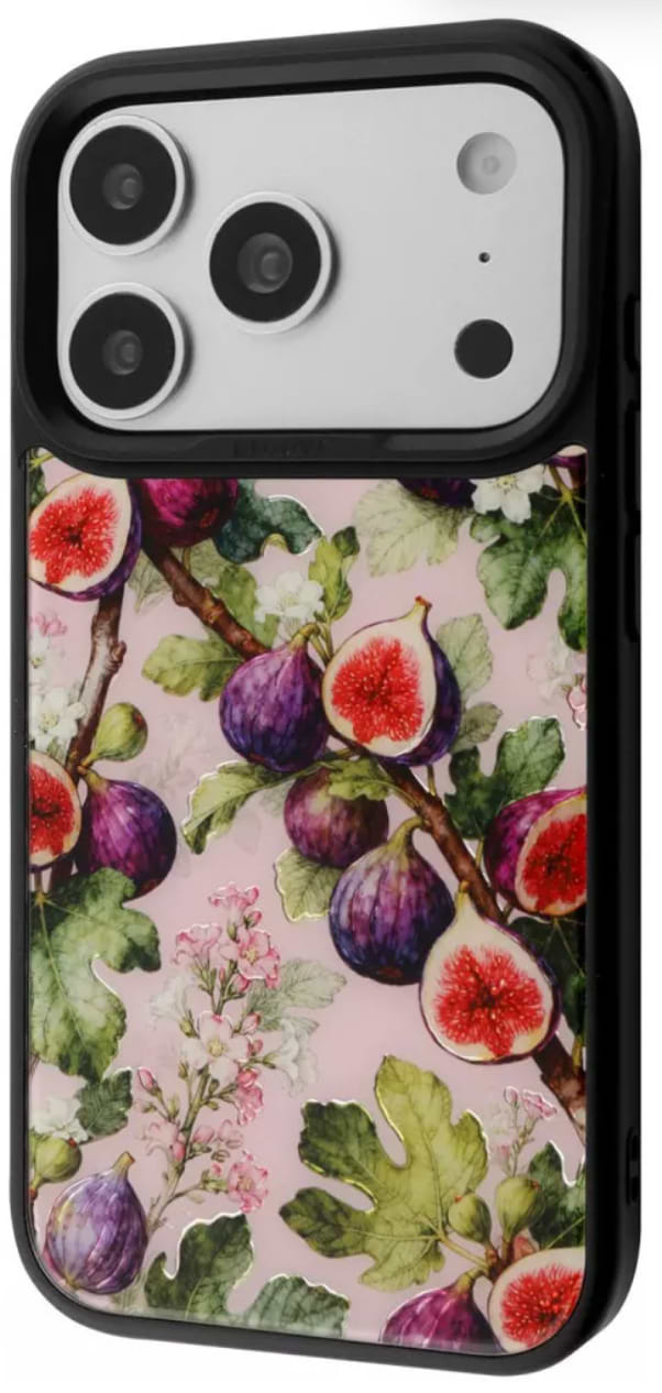 Чохол для смартфону Proove Muse Fleur Case with Magnetic Ring iPhone 17 Pro/18 Pro figs (PCMFIP17P0B4)