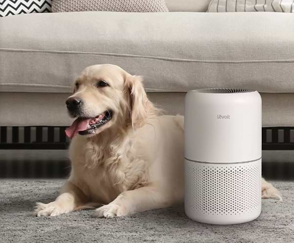 Фото - Очиститель воздуха Levoit Air Purifier Core 300 White (HEAPAPLVNEU0036)
