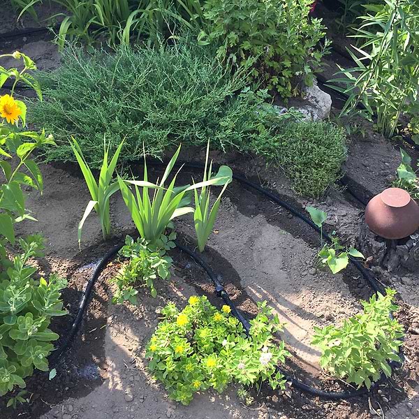 Фото - Шланг поливочный BRADAS AQUA-DROP 1/2" 25 м (WAD1/2025)