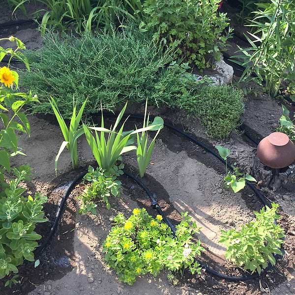 Фото - Шланг поливочний BRADAS Aqua-drop Flat 50 м (WAD1-2050)