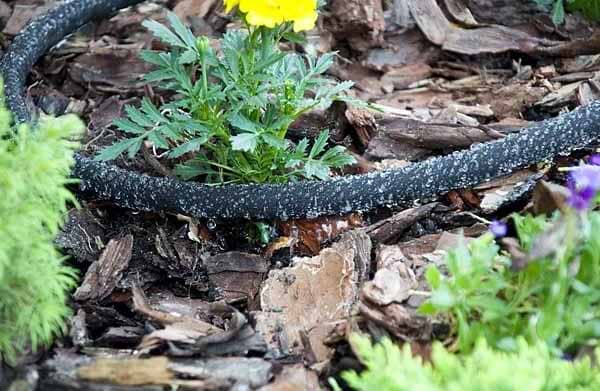 Фото - Шланг поливочний BRADAS Aqua-drop Flat 50 м (WAD1-2050)