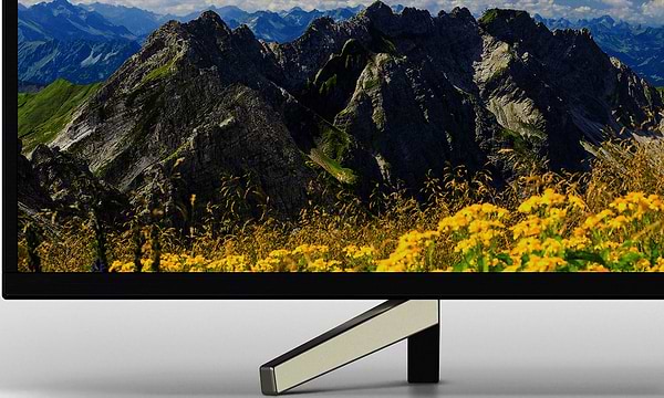 Фото - Телевизор Sony KD49XF7596BR